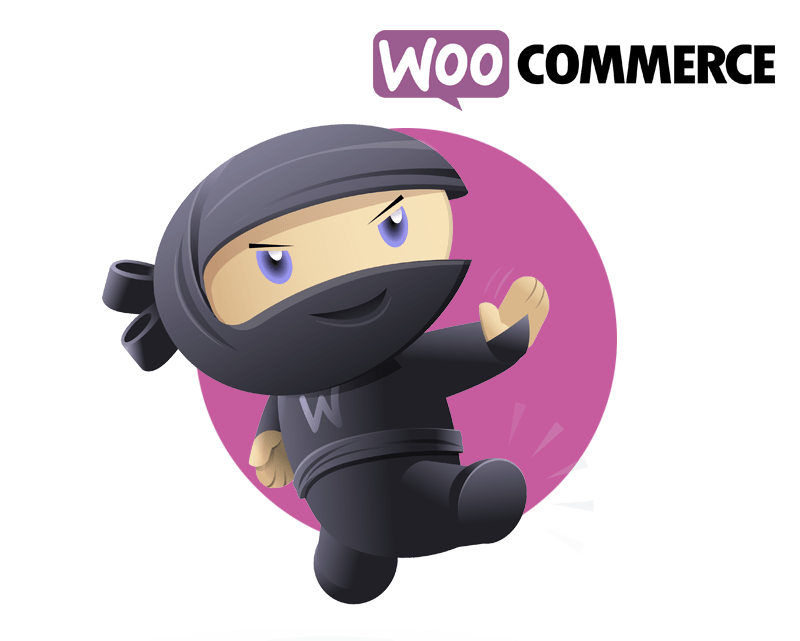 Κατασκευή eShop WooCommerce